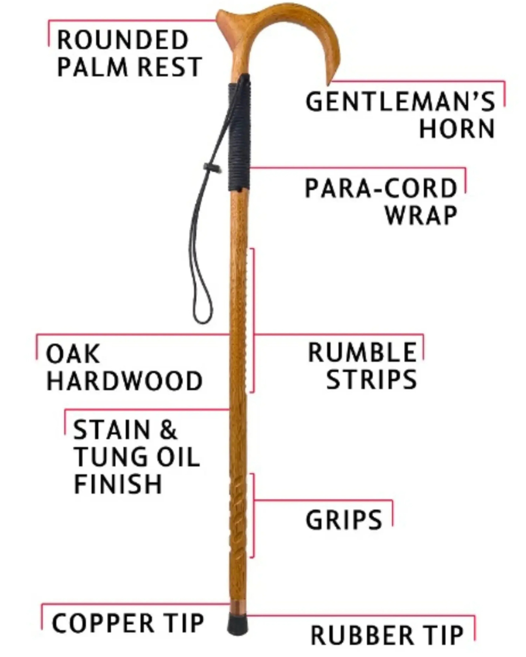 Diagram showing the features of a cane with labeled parts