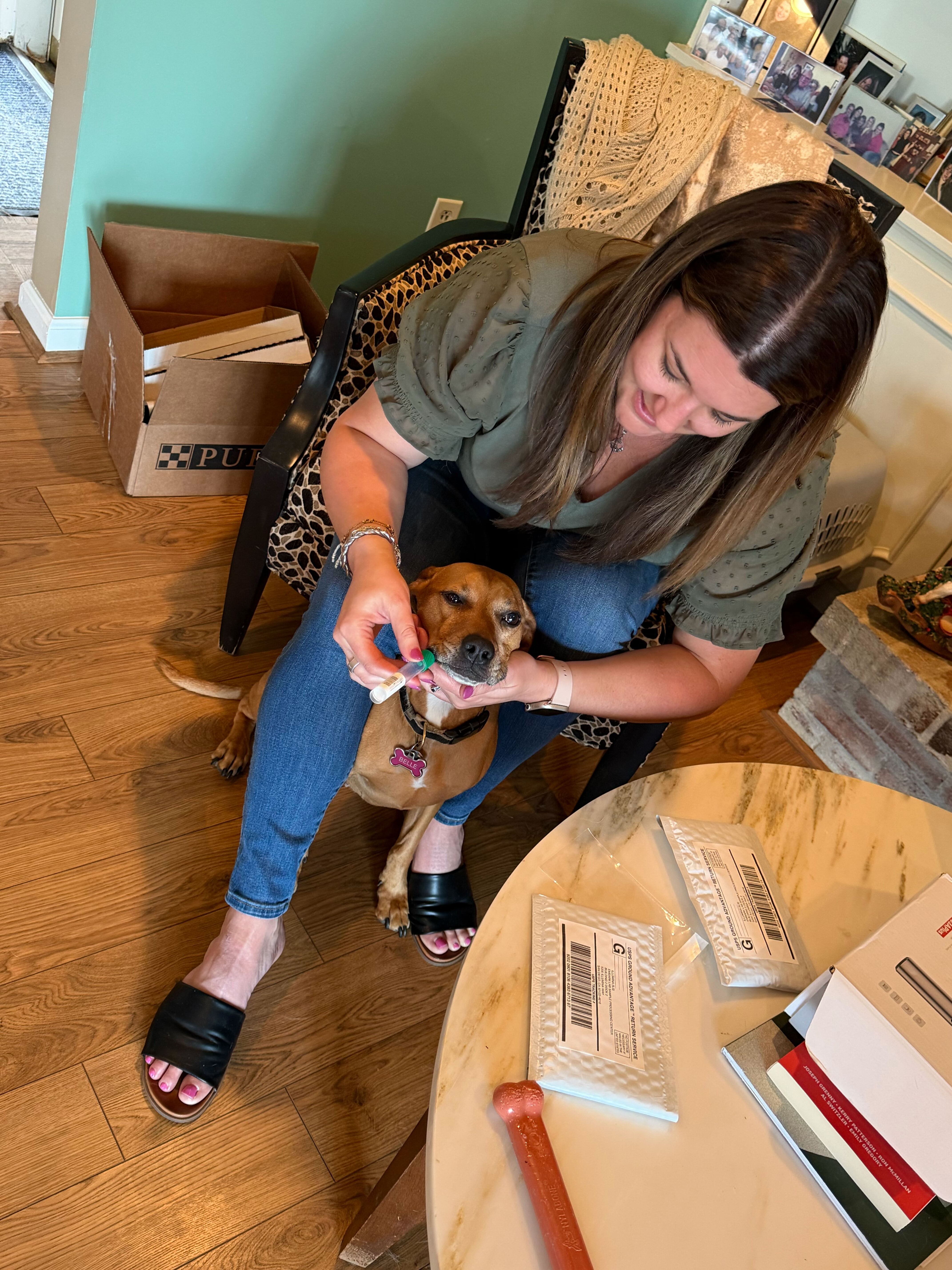 Swabbing Dog for DNA Test Morgan swabs her dog Belle's cheek for the Embark Breed + Health Test