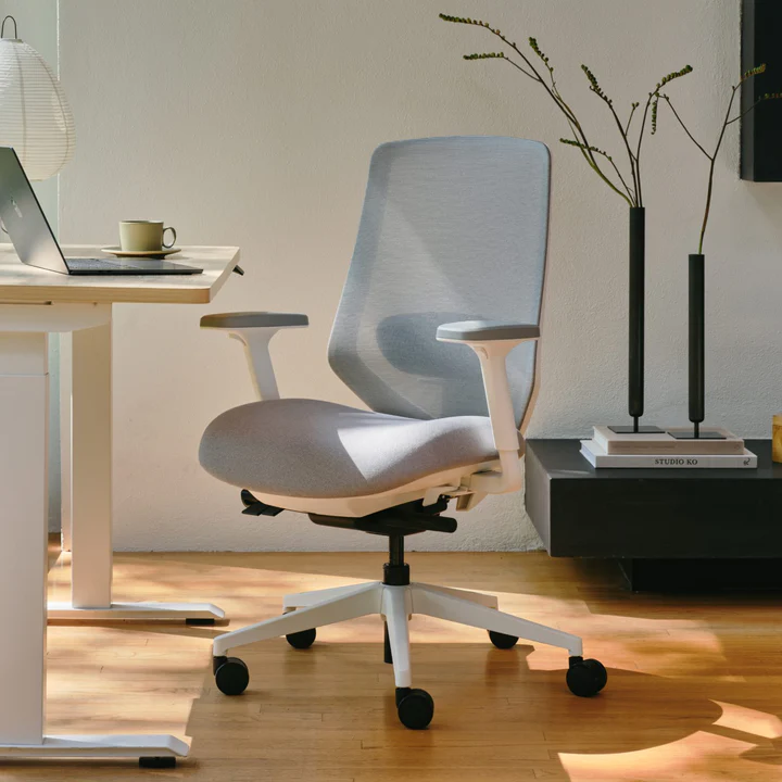 Ergonomic Chair Pro at the Duo Standing Desk in a home office