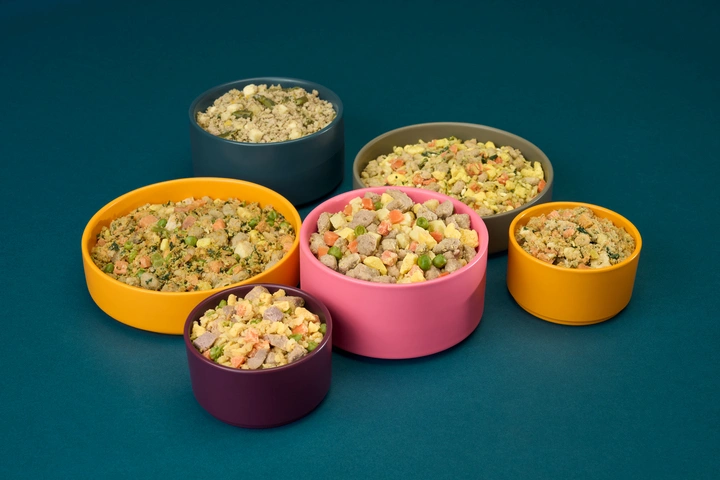 A variety of fresh dog food in bowls