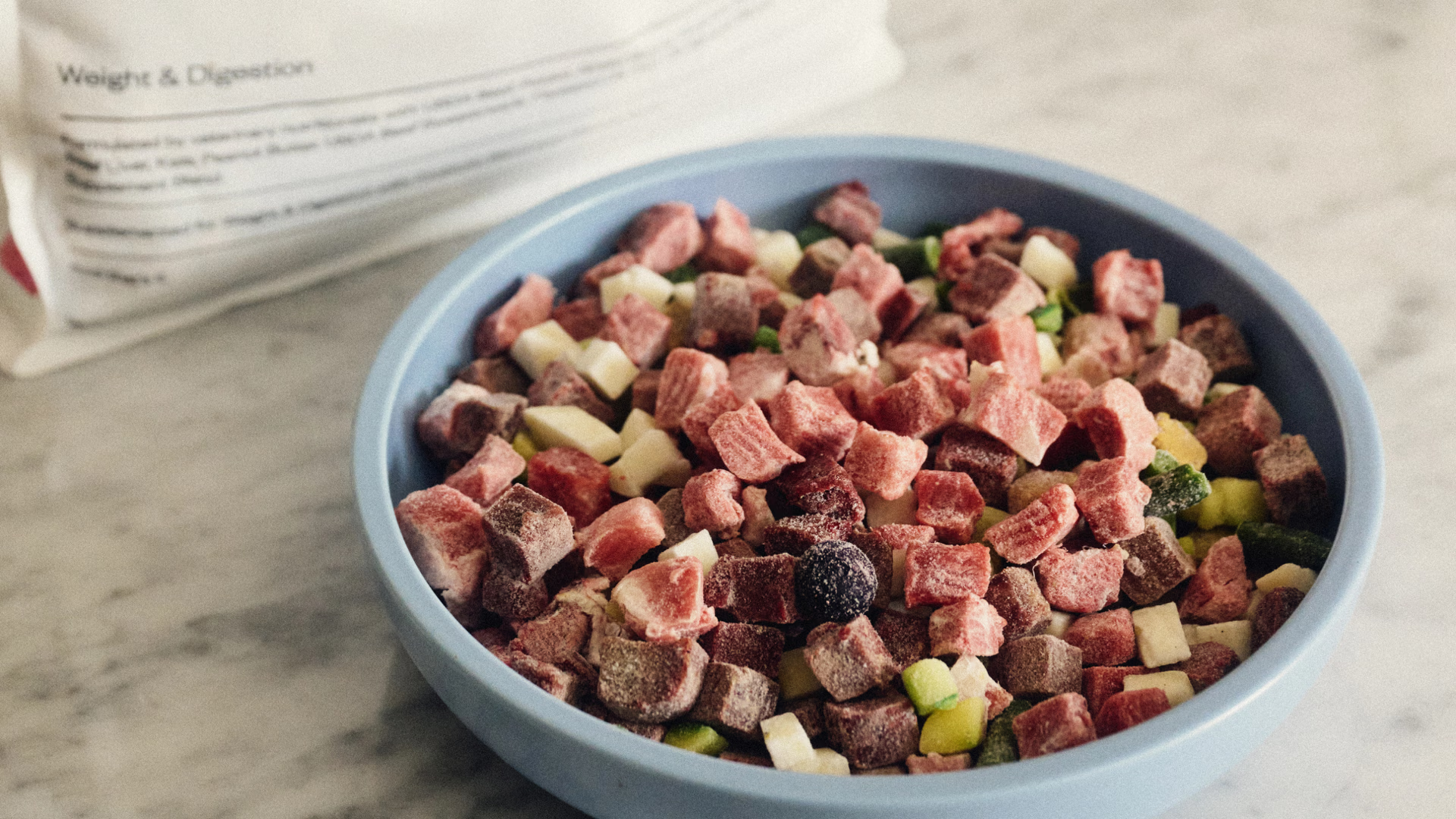Raw dog food defrosting in a bowl