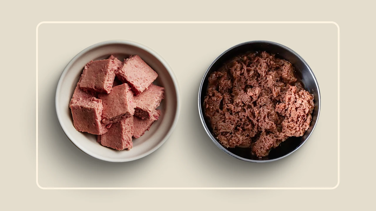 We Feed Raw's raw dog food in bowls, cubed and mashed