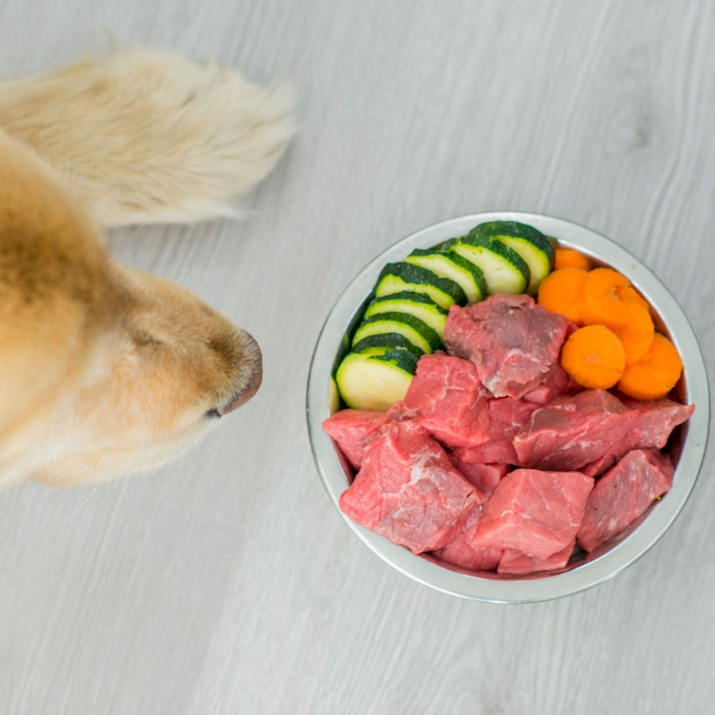 Raw Dog Food Prepared At Home A dog looks at a bowl of raw meat, zucchini, and carrots on the floor