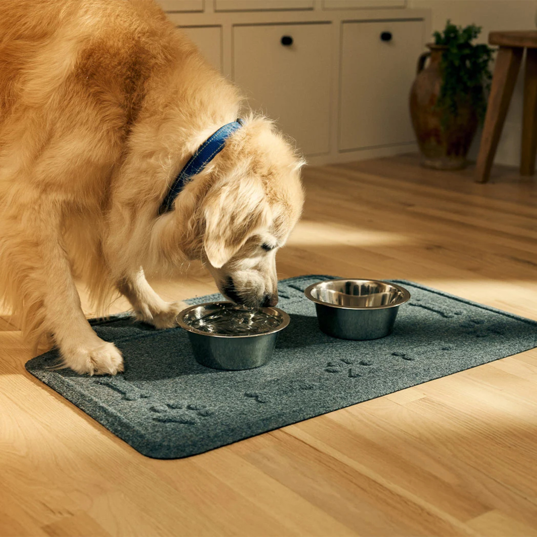 WaterHog Drool Hog Spill Control Mat Golden retriever drinks water from a bowl on a WaterHog Drool Hog personalized mat.