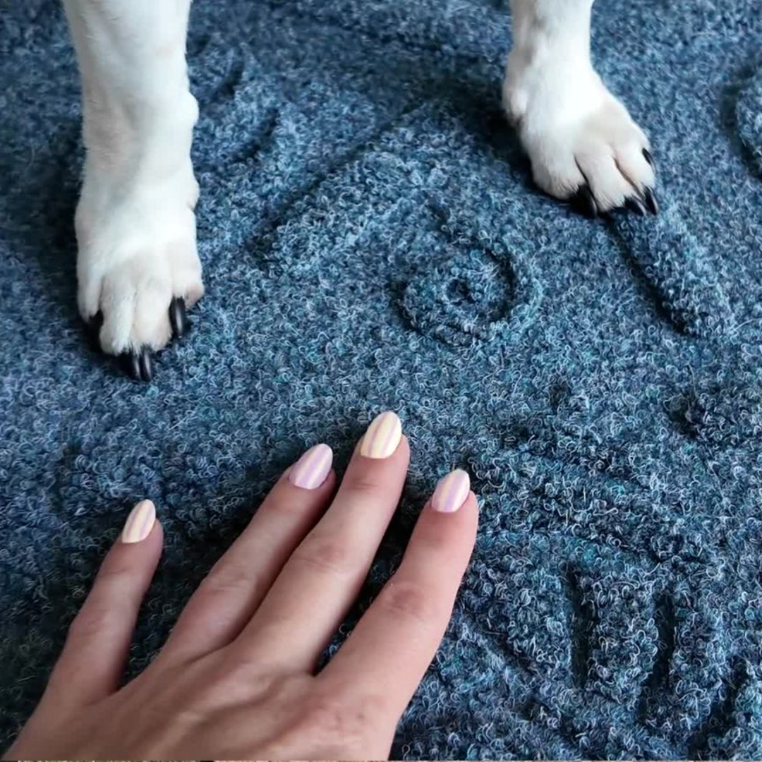 Hand and Dog Paws on Waterhog Mat A hand and a dog's paws rest on a textured blue Waterhog mat.