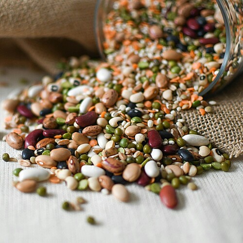 The Smart Cook’s Guide to Selecting, Using, and Storing Dry-Good Pantry Staples