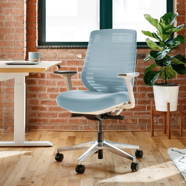 Blue Mesh Branch Ergonomic Chair in Office A blue mesh Branch Ergonomic Chair is placed in a modern office setting