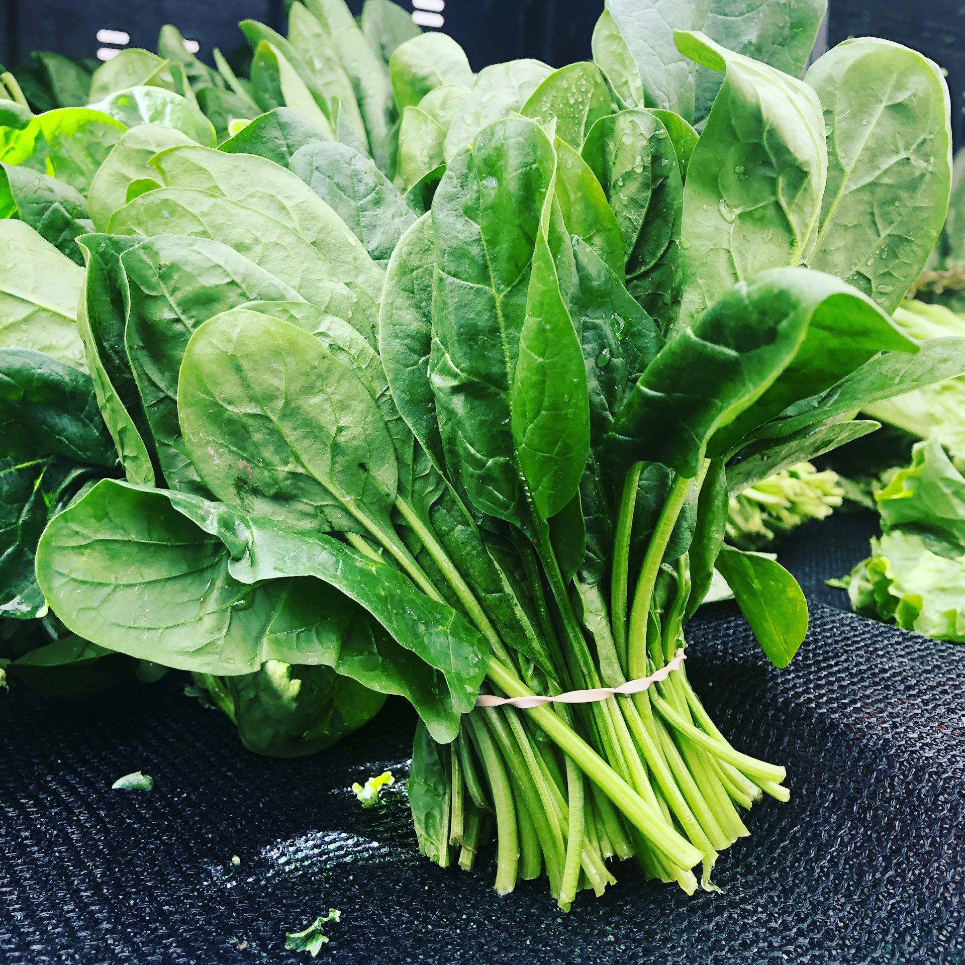 Fresh spinach bunch sits on a dark surface, ready for food preparation