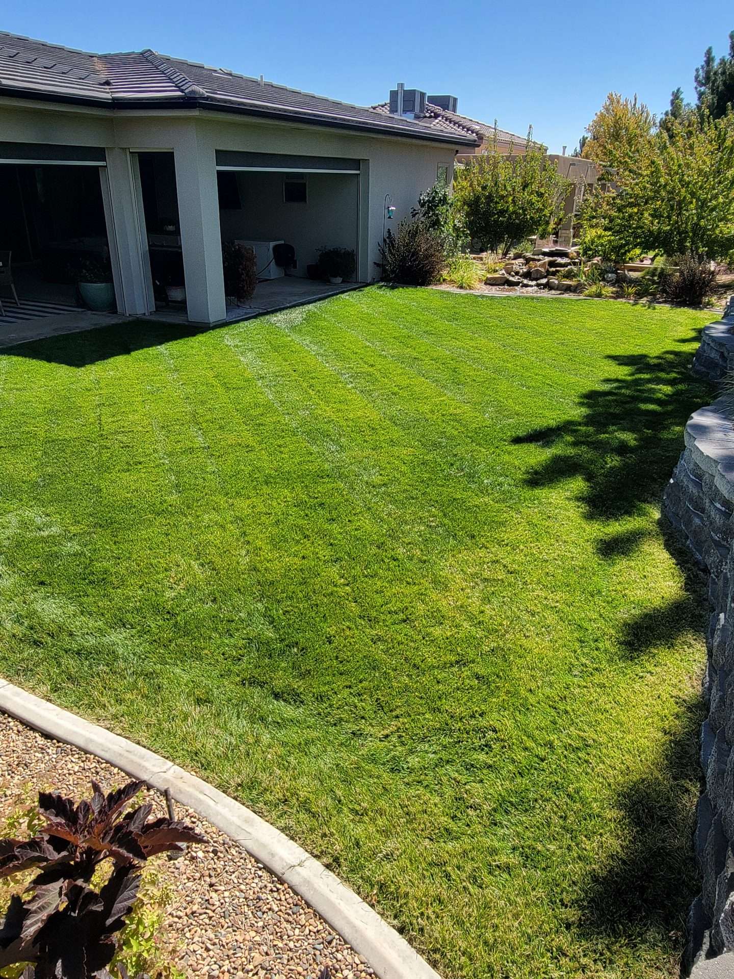 jeremy rowse 2 scaled